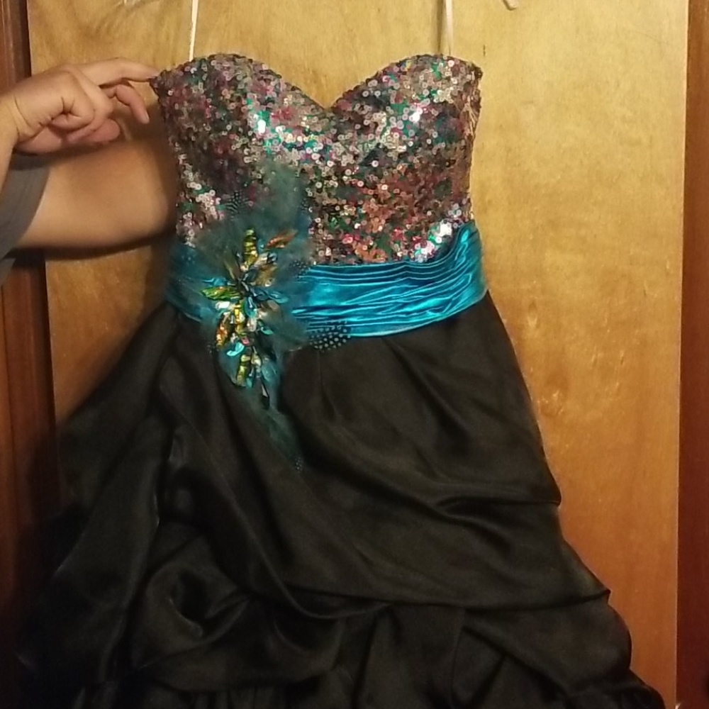 Princess ball room gown dress.